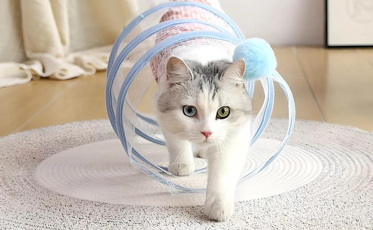 Interactive Cat Tunnel Toy