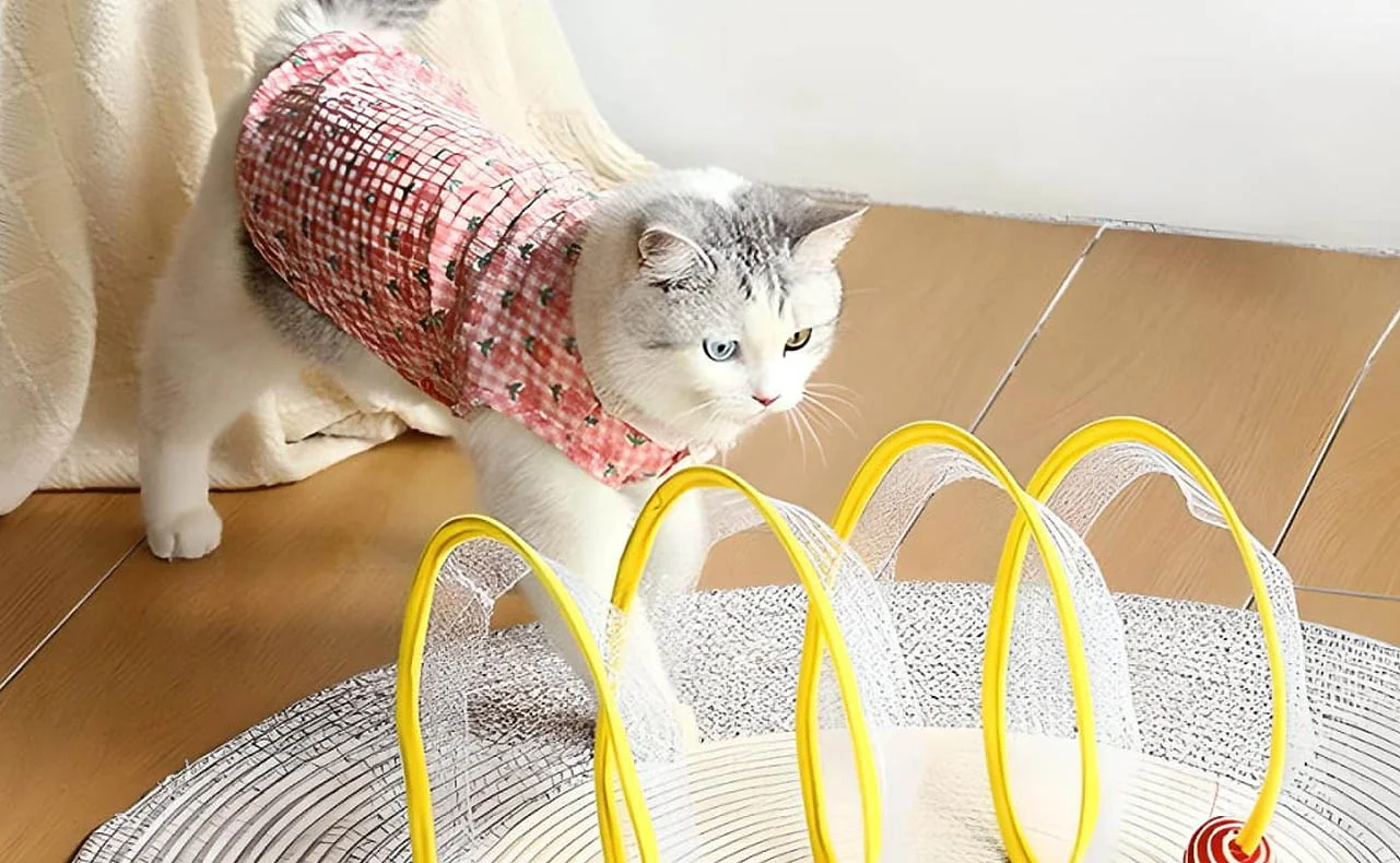 Interactive Cat Tunnel Toy